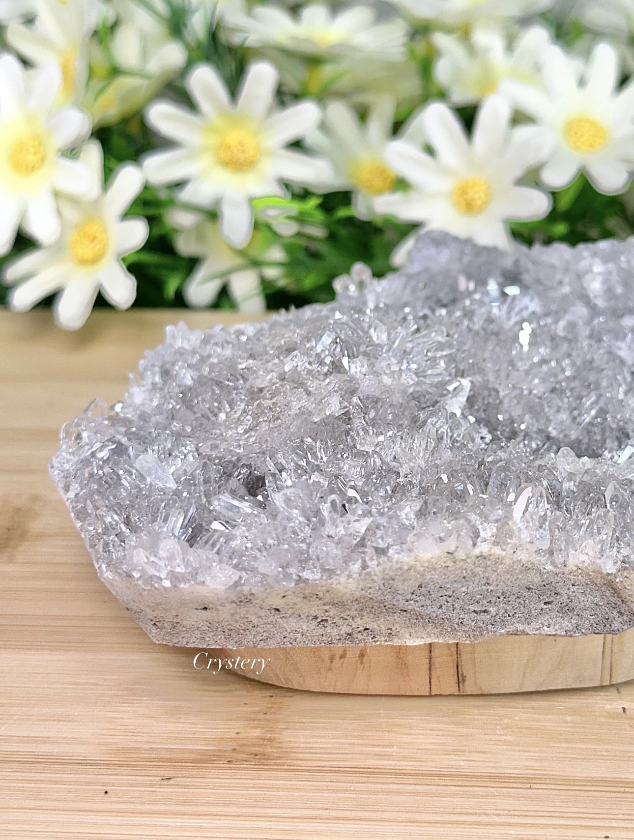 白晶簇編號-E1:圖片 7