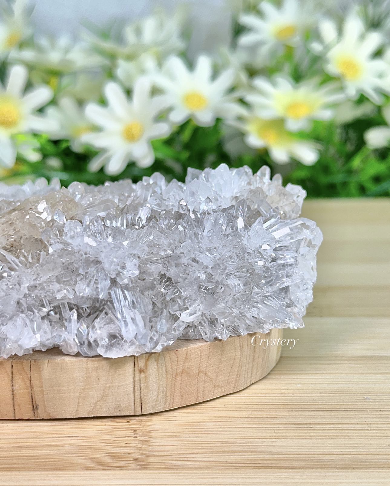 白晶簇編號-E2:圖片 5