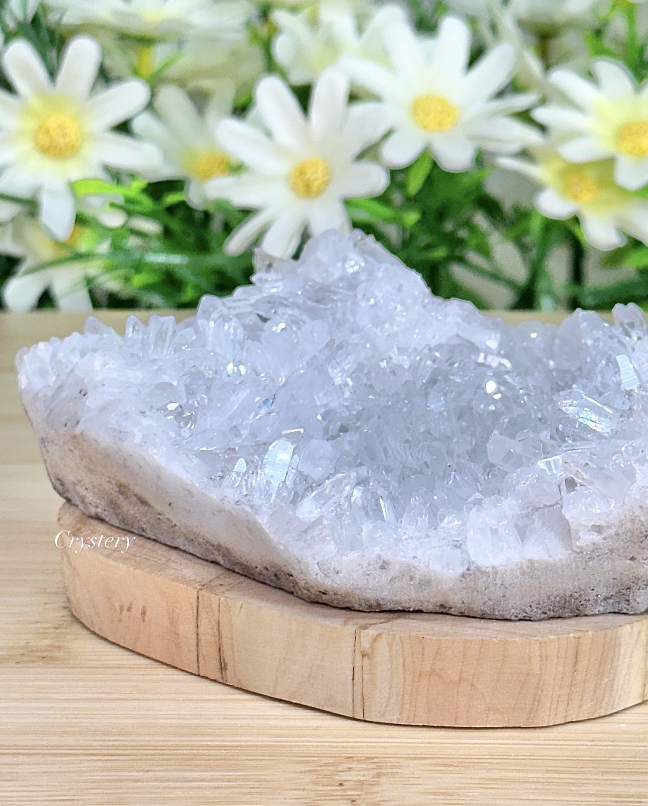 白晶簇編號-E4:圖片 4