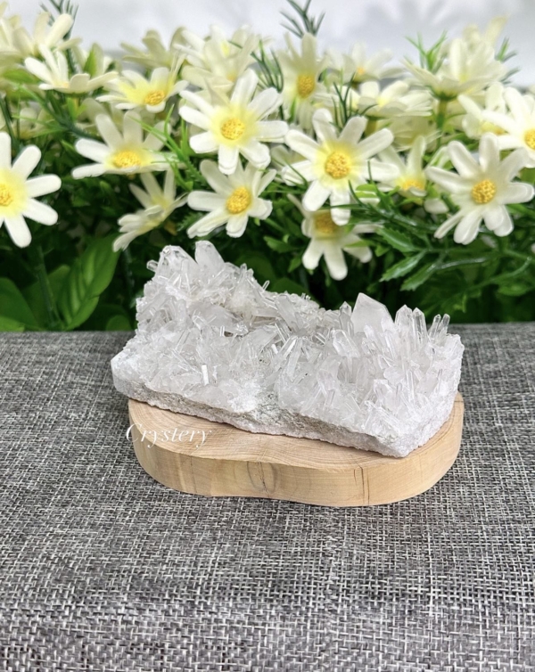 白晶簇編號-A3：圖片 3
