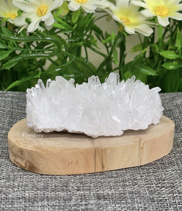白晶簇編號B8