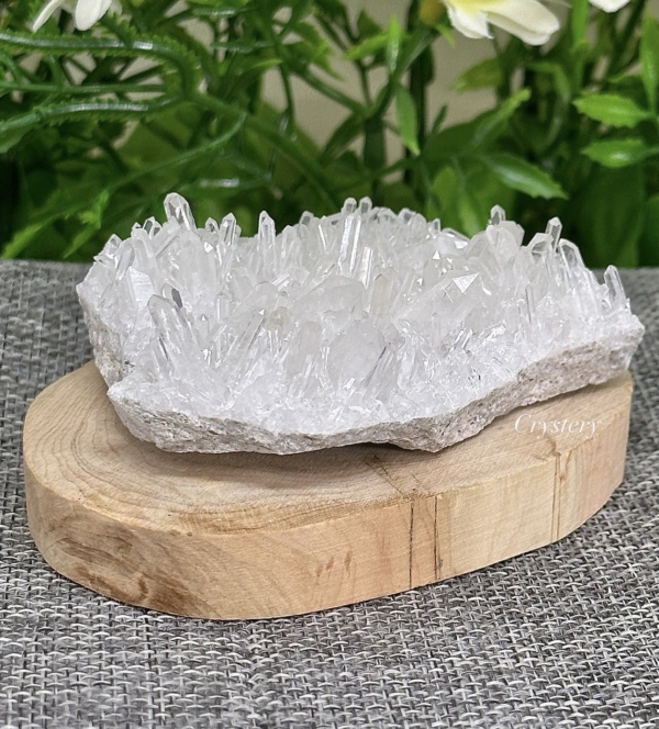 白晶簇編號B4：圖片 7