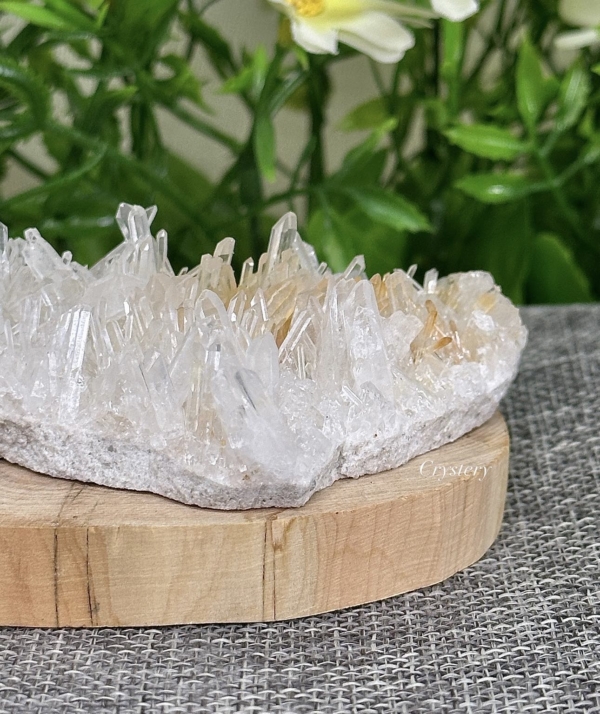 白晶簇編號B3：圖片 4