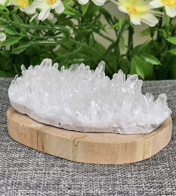 白晶簇編號B2：圖片 5