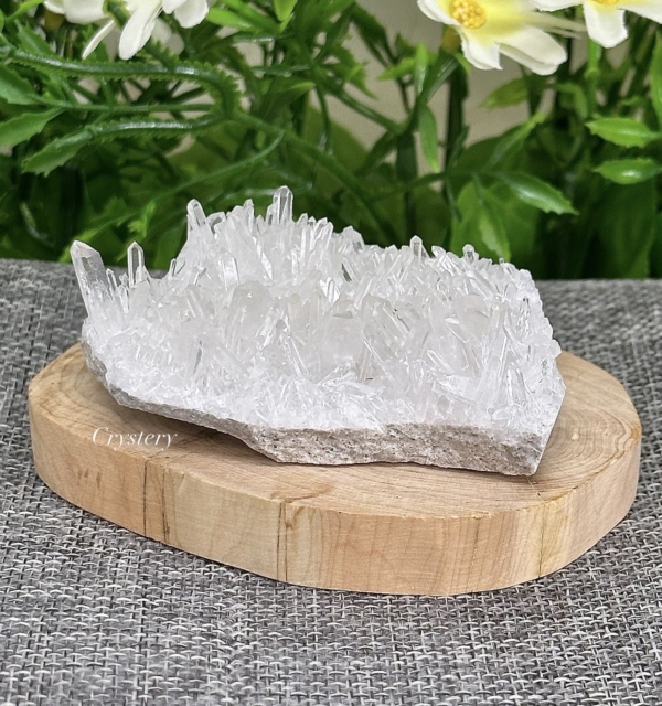 白晶簇編號B4：圖片 5