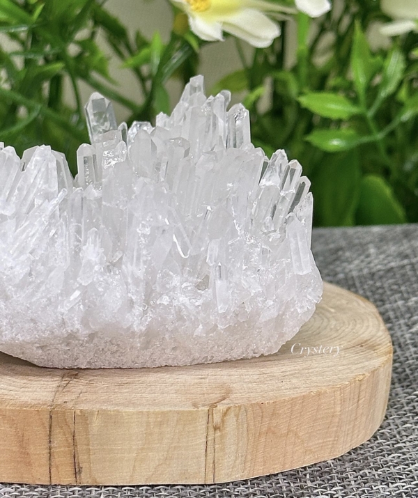 白晶簇編號B5：圖片 8