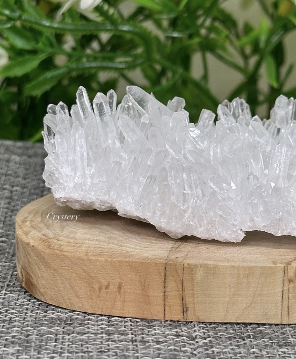 白晶簇編號B8：圖片 5