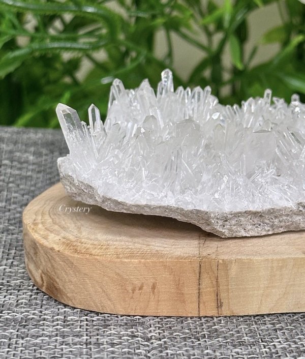 白晶簇編號B4：圖片 6