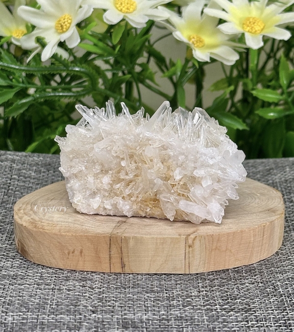 白晶簇編號B6：圖片 4