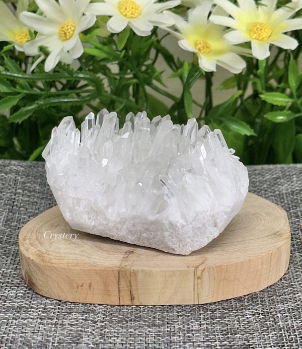 白晶簇編號B5：圖片 6