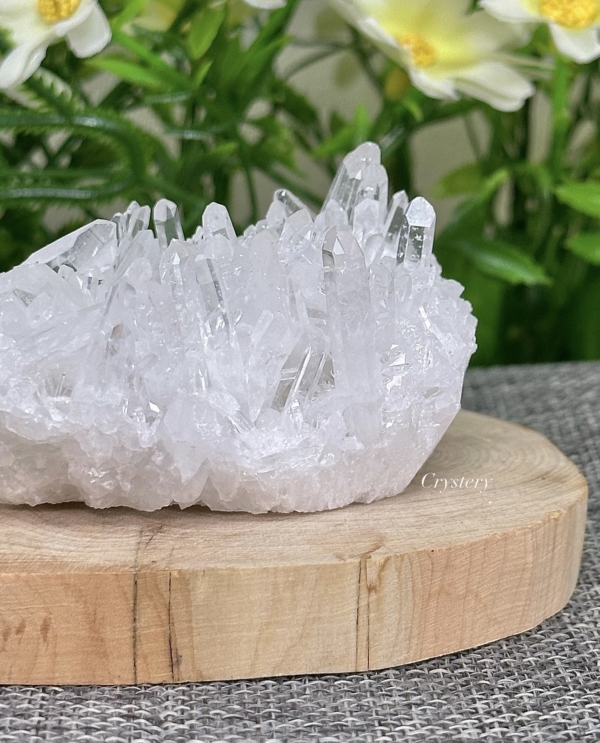 白晶簇編號B7：圖片 5