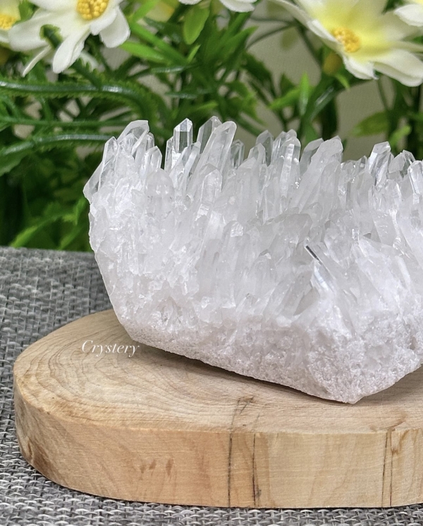 白晶簇編號B5：圖片 7