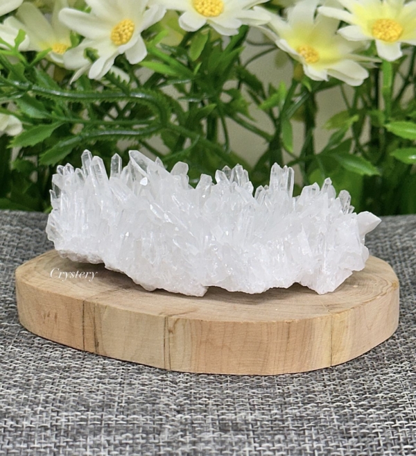 白晶簇編號B8：圖片 3