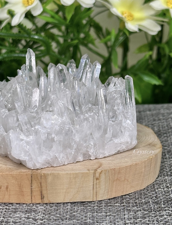 白晶簇編號B1：圖片 5