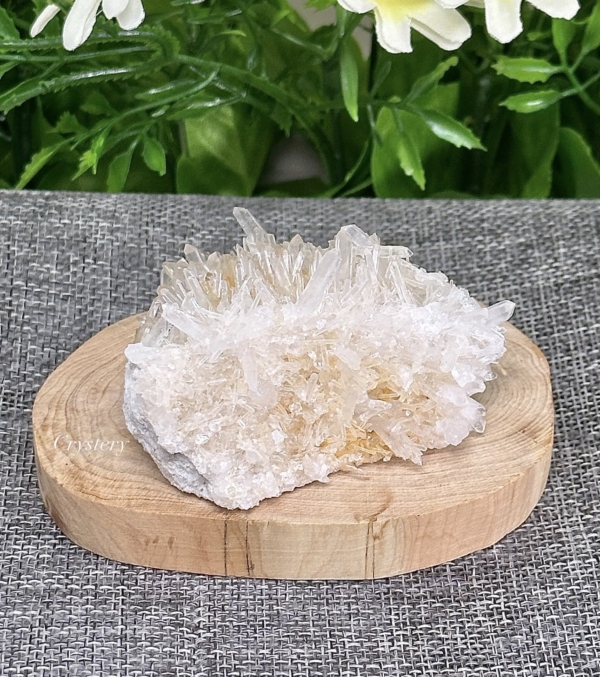 白晶簇編號B6
