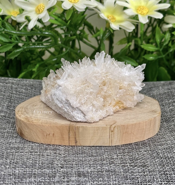 白晶簇編號B6：圖片 3