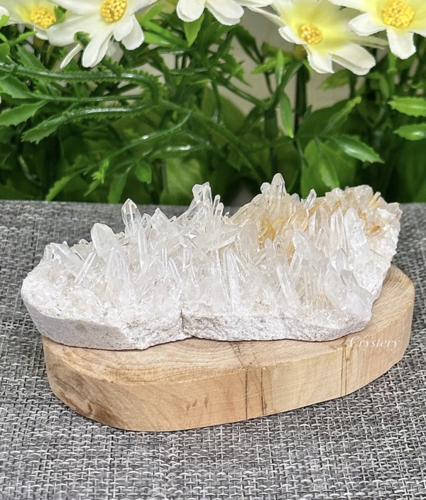 白晶簇編號B3：圖片 5