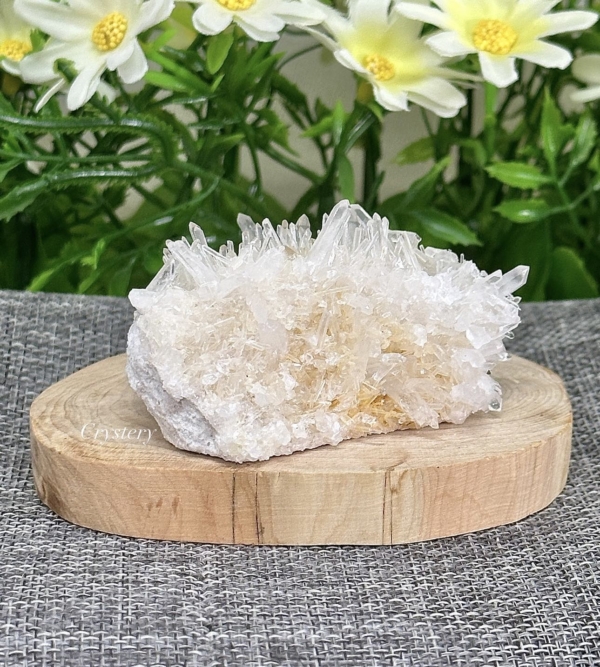 白晶簇編號B6：圖片 2