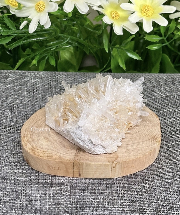白晶簇編號B6：圖片 5