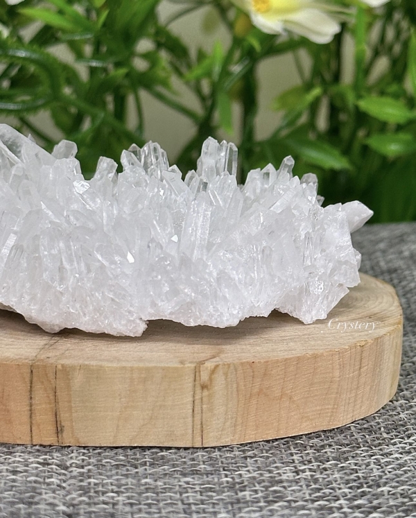 白晶簇編號B8：圖片 4