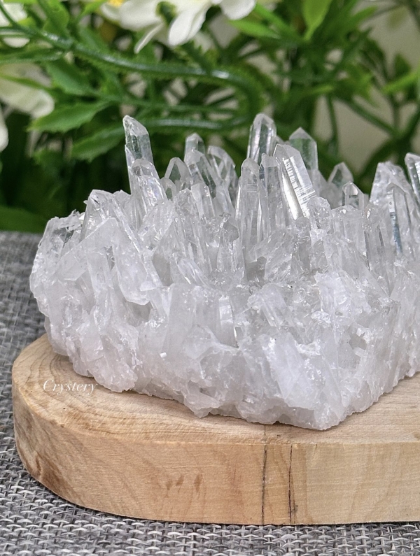 白晶簇編號B1：圖片 6