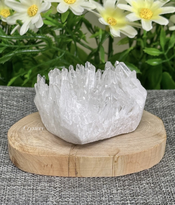 白晶簇編號B5：圖片 2