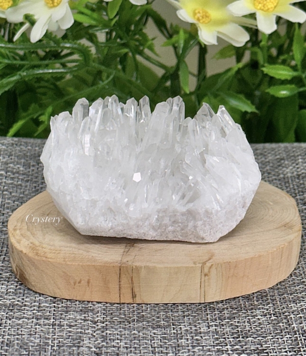 白晶簇編號B5：圖片 4