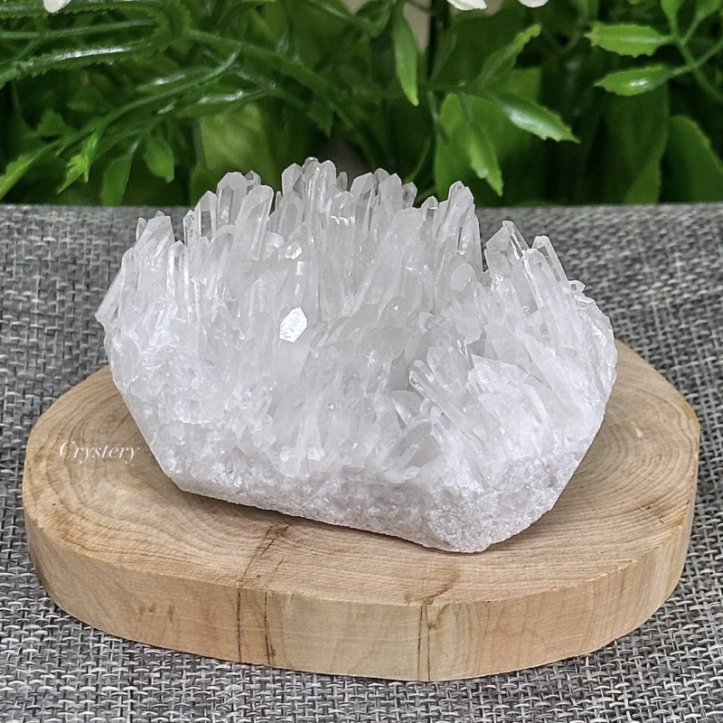 白晶簇編號B5