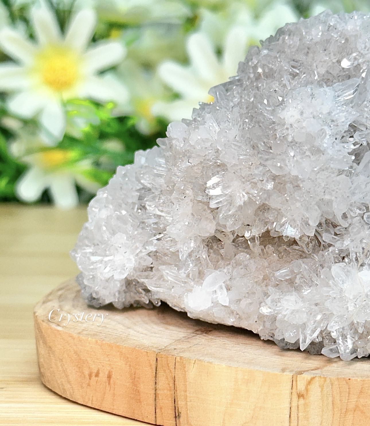 白晶簇-編號F9:圖片 5