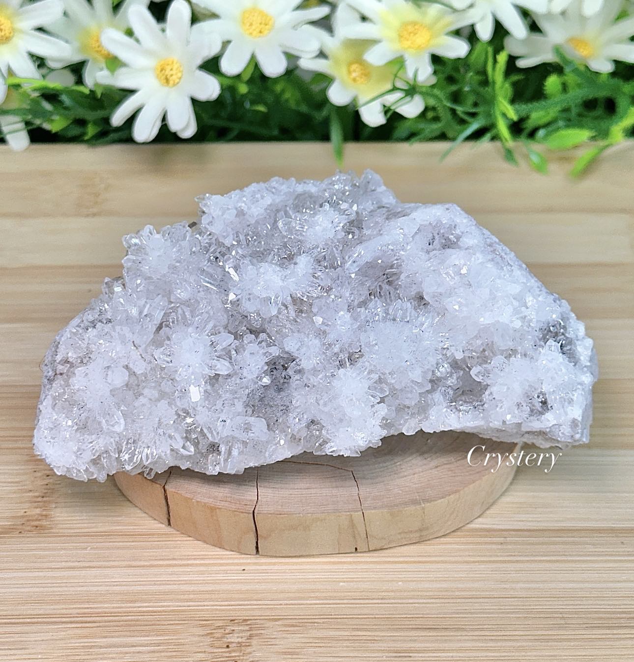 白晶簇-編號F17:圖片 2