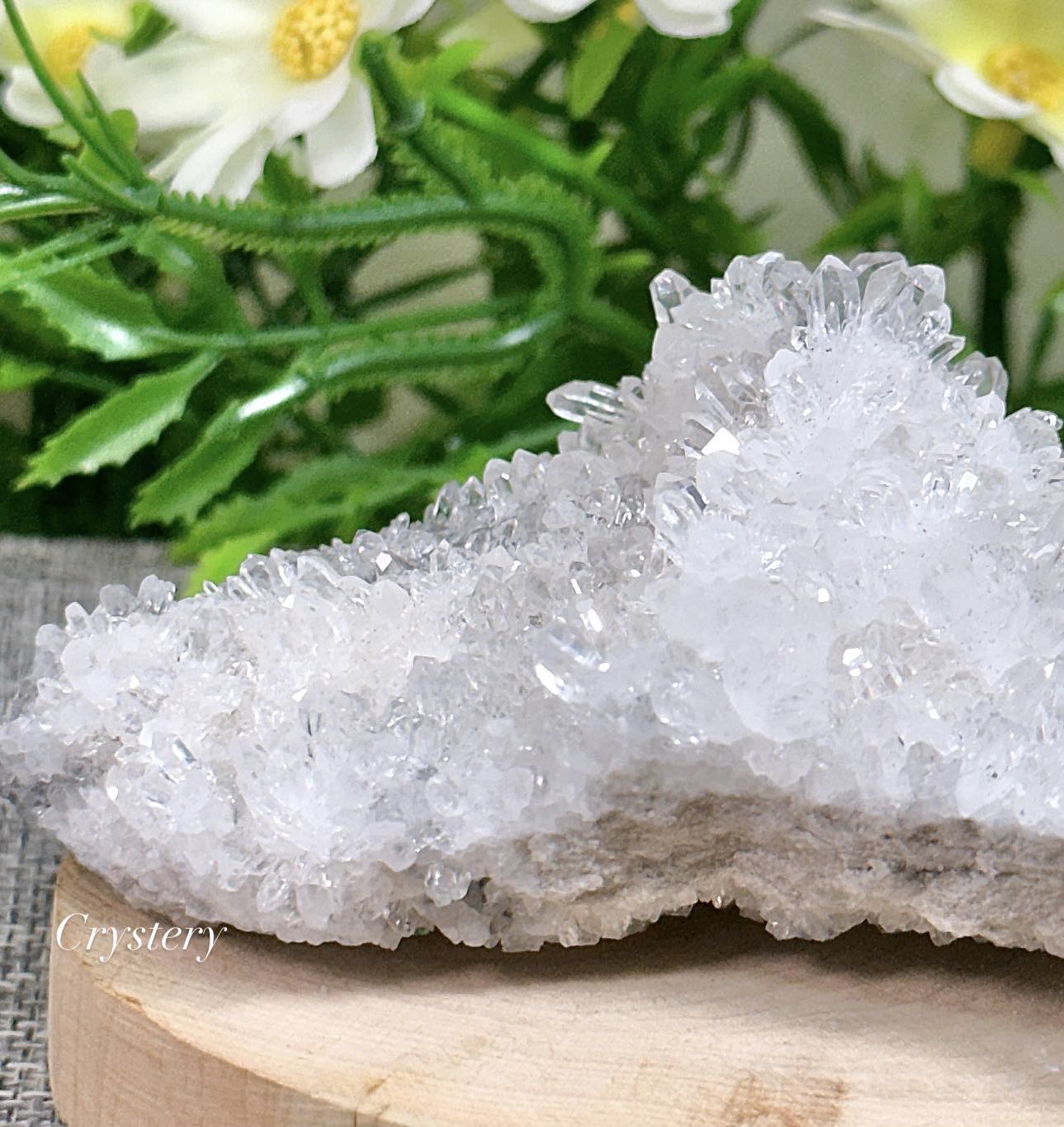 白晶簇-編號A36:圖片 6